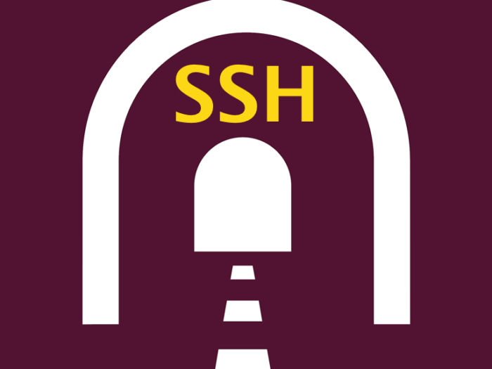 SSH tunnel